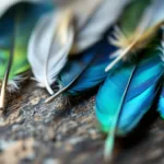 ontdek wat jouw keuze van veer onthult over je karakter. niet zomaar een veer, maar een spiegel van wie je werkelijk bent.