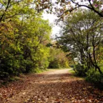 ontdek waarom dit goedkope poeder effectiever is tegen kalk dan dure ontkalkers. bespaar geld en krijg sneller resultaat met deze slimme ontkalkoplossing.